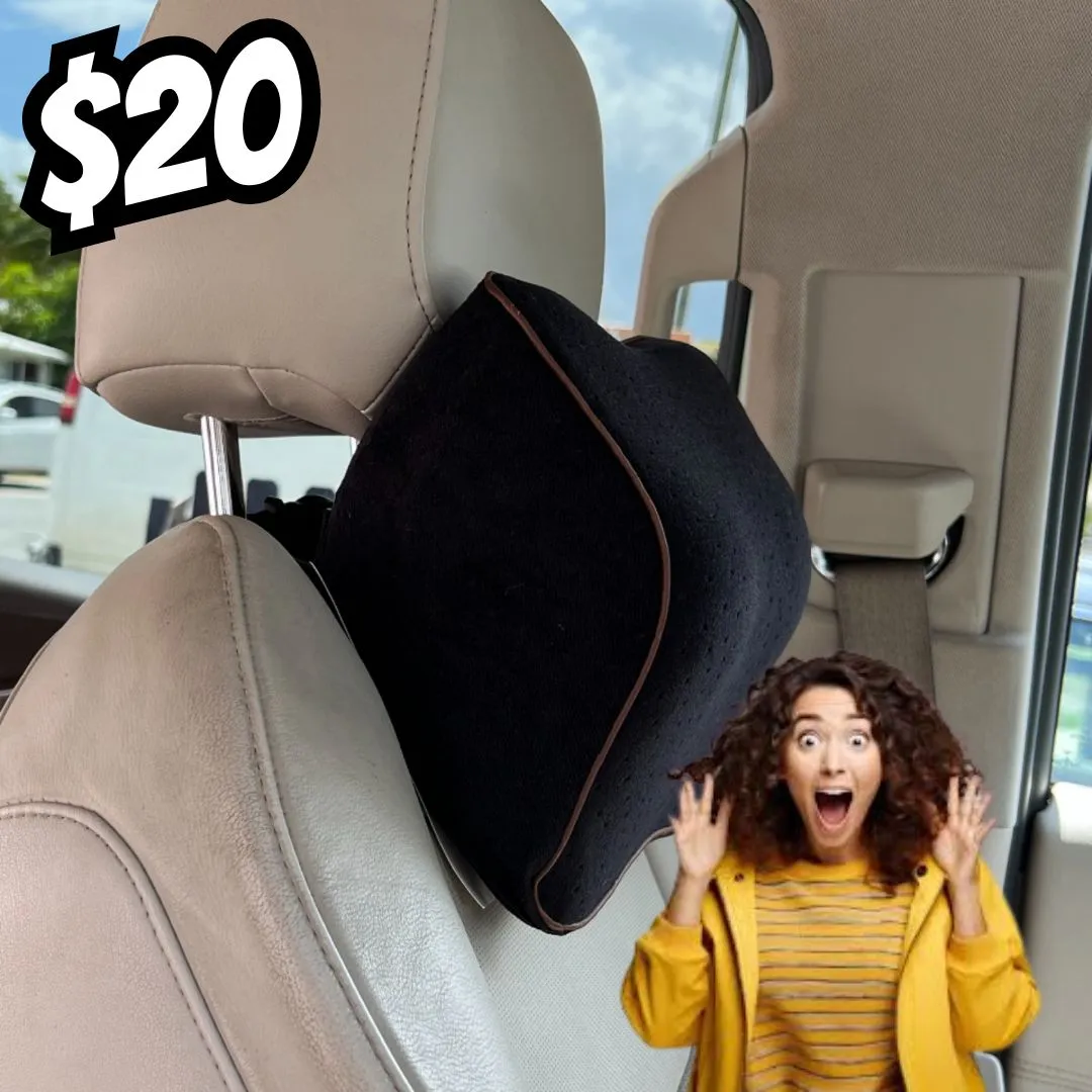 2 CAR PILLOWS