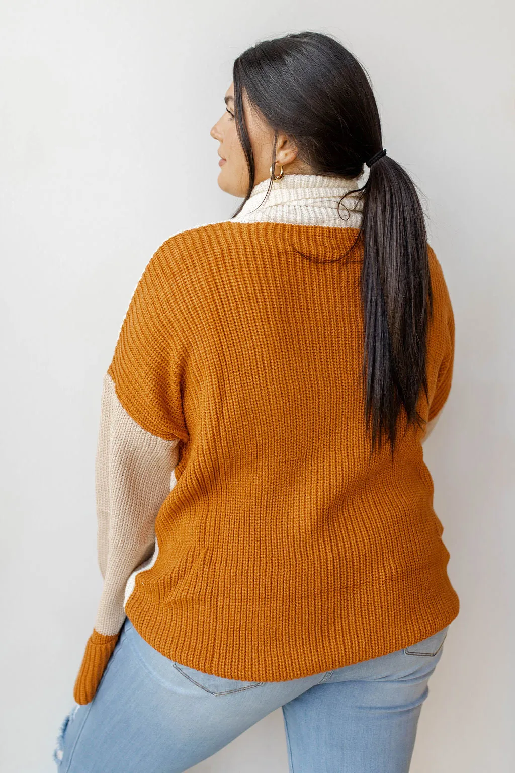 colorblock turtleneck sweater