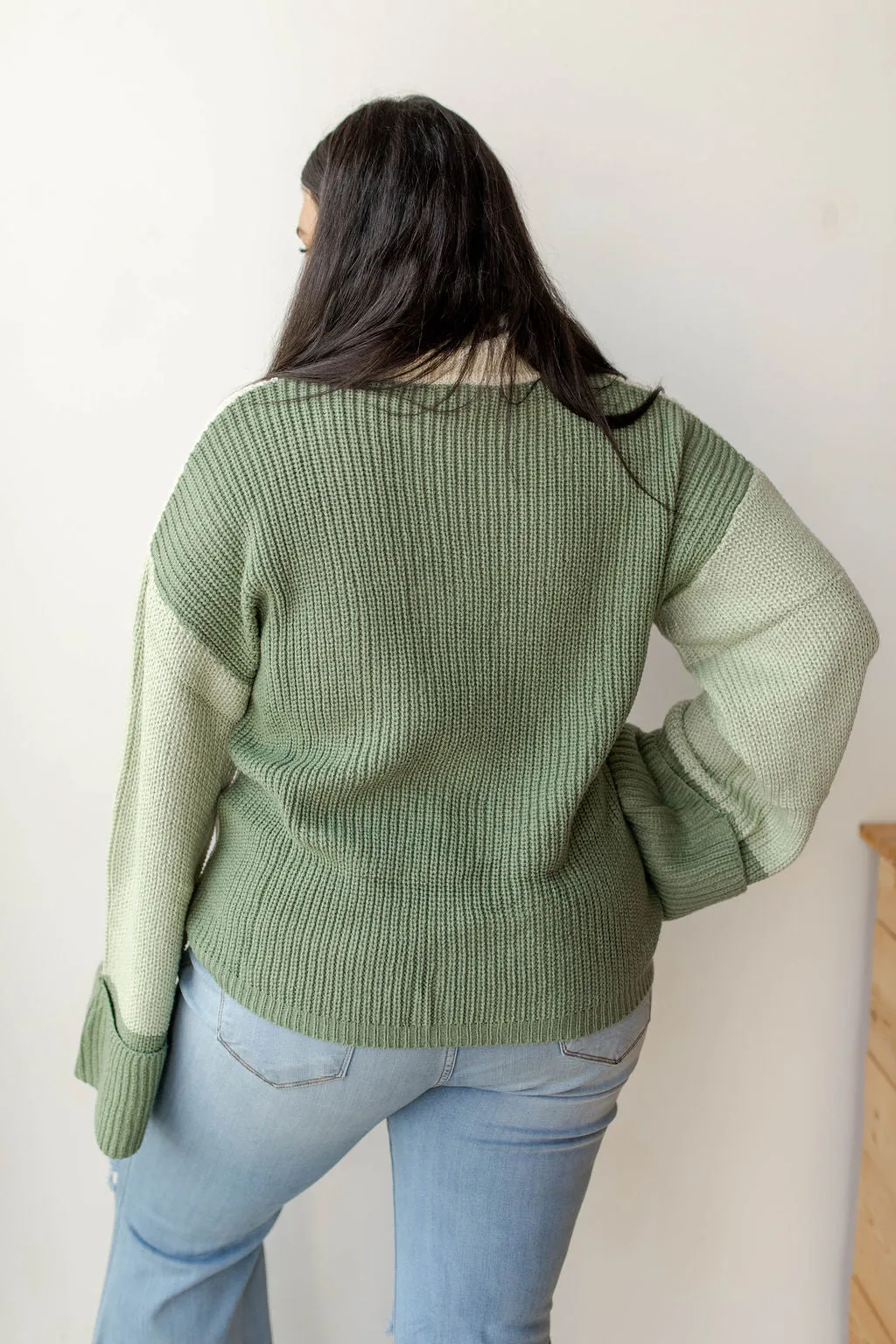 colorblock turtleneck sweater