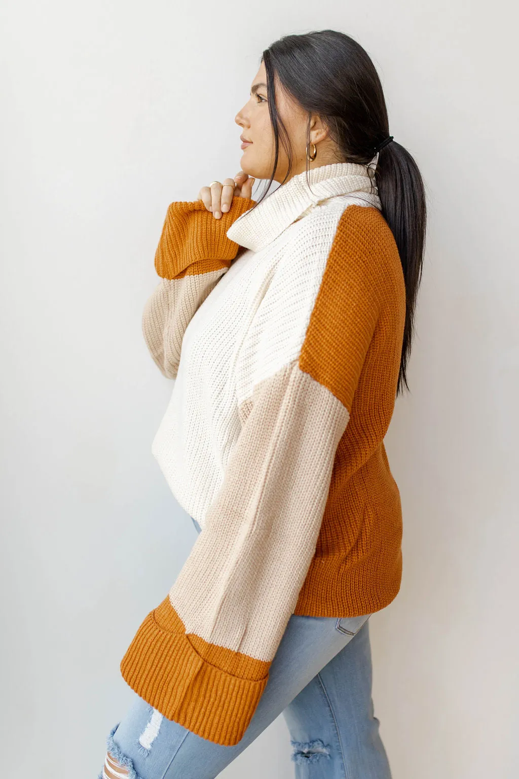 colorblock turtleneck sweater