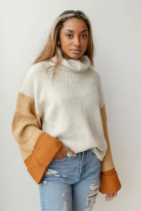 colorblock turtleneck sweater