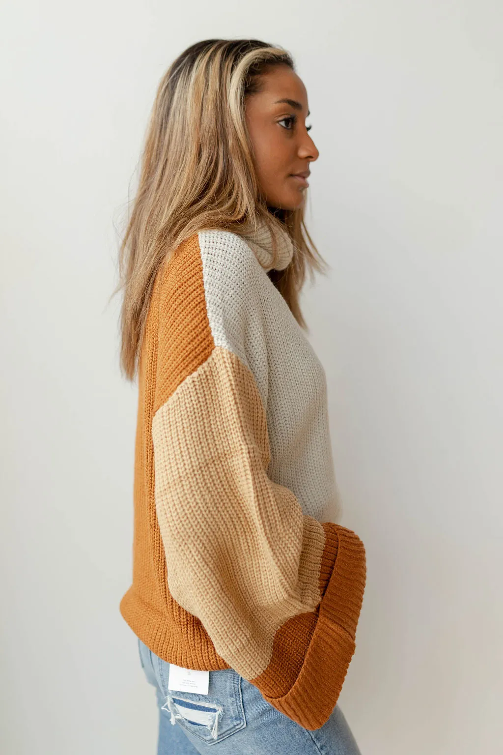 colorblock turtleneck sweater