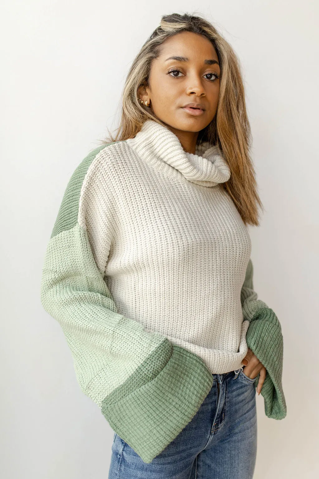 colorblock turtleneck sweater
