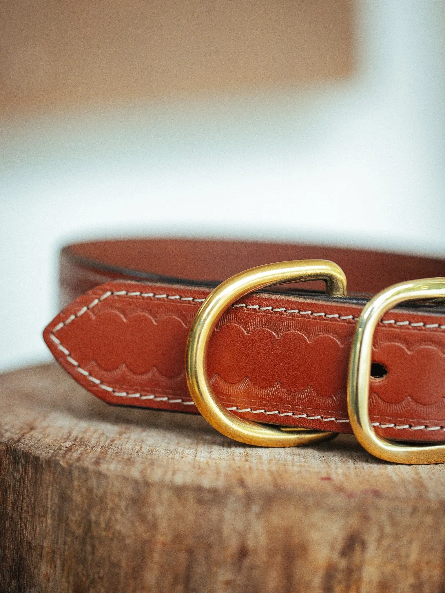 Deluxe Rancher Dog Collar - 38mm - Tan