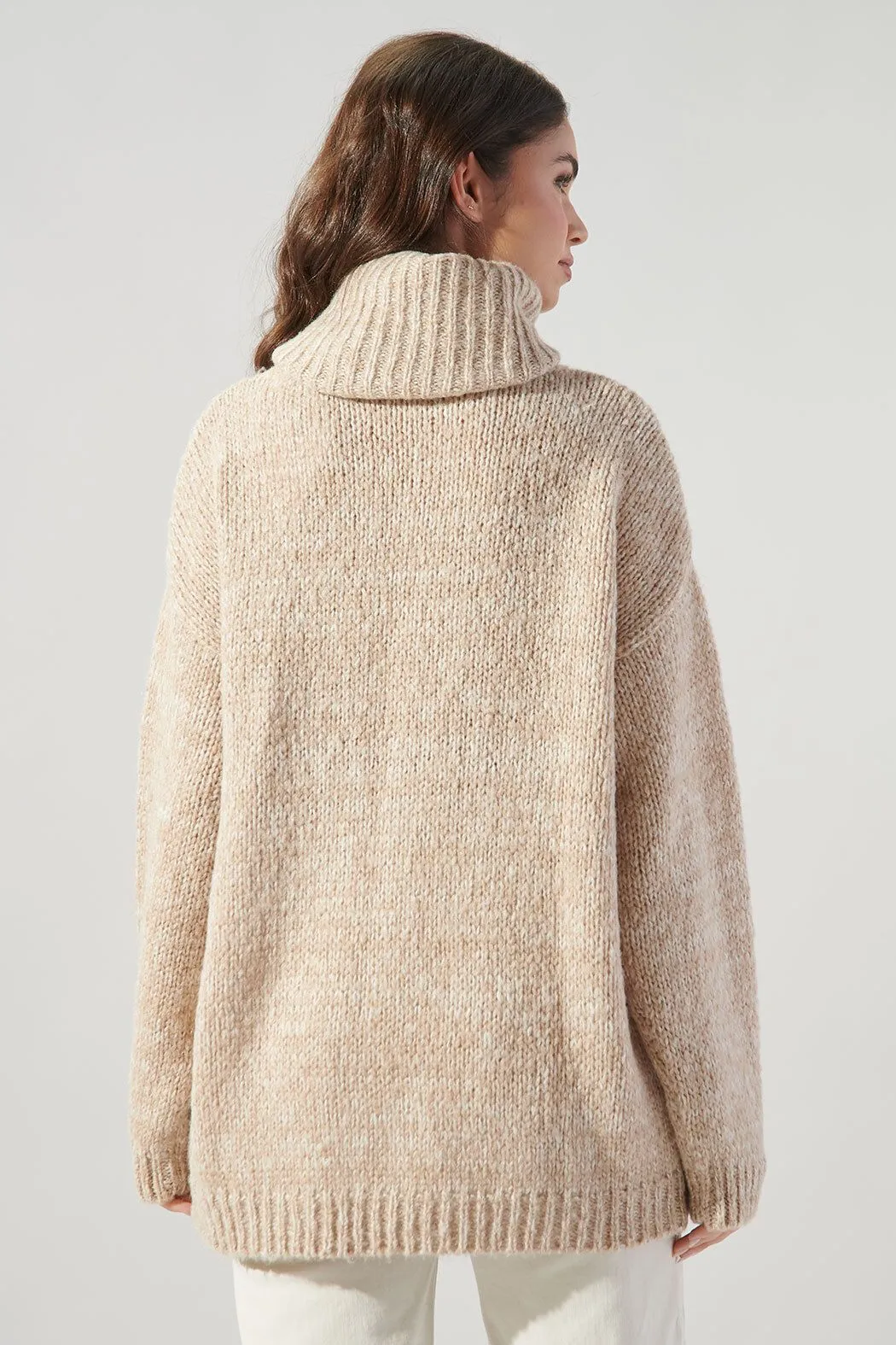 Oatmeal Turtleneck Tunic Sweater
