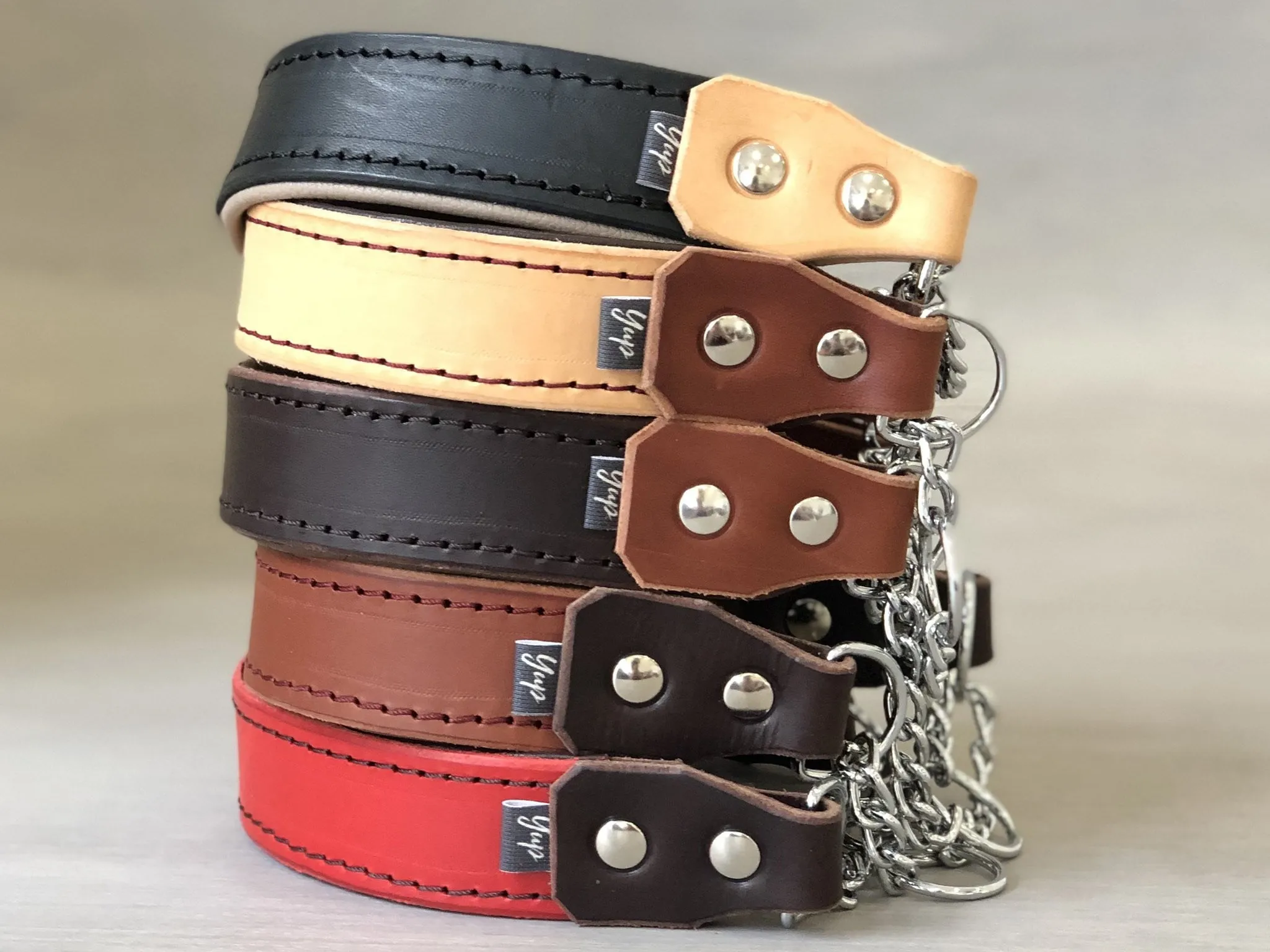 Padded Leather Martingale Dog Collar 5 Colors and Stainless Steel Chain