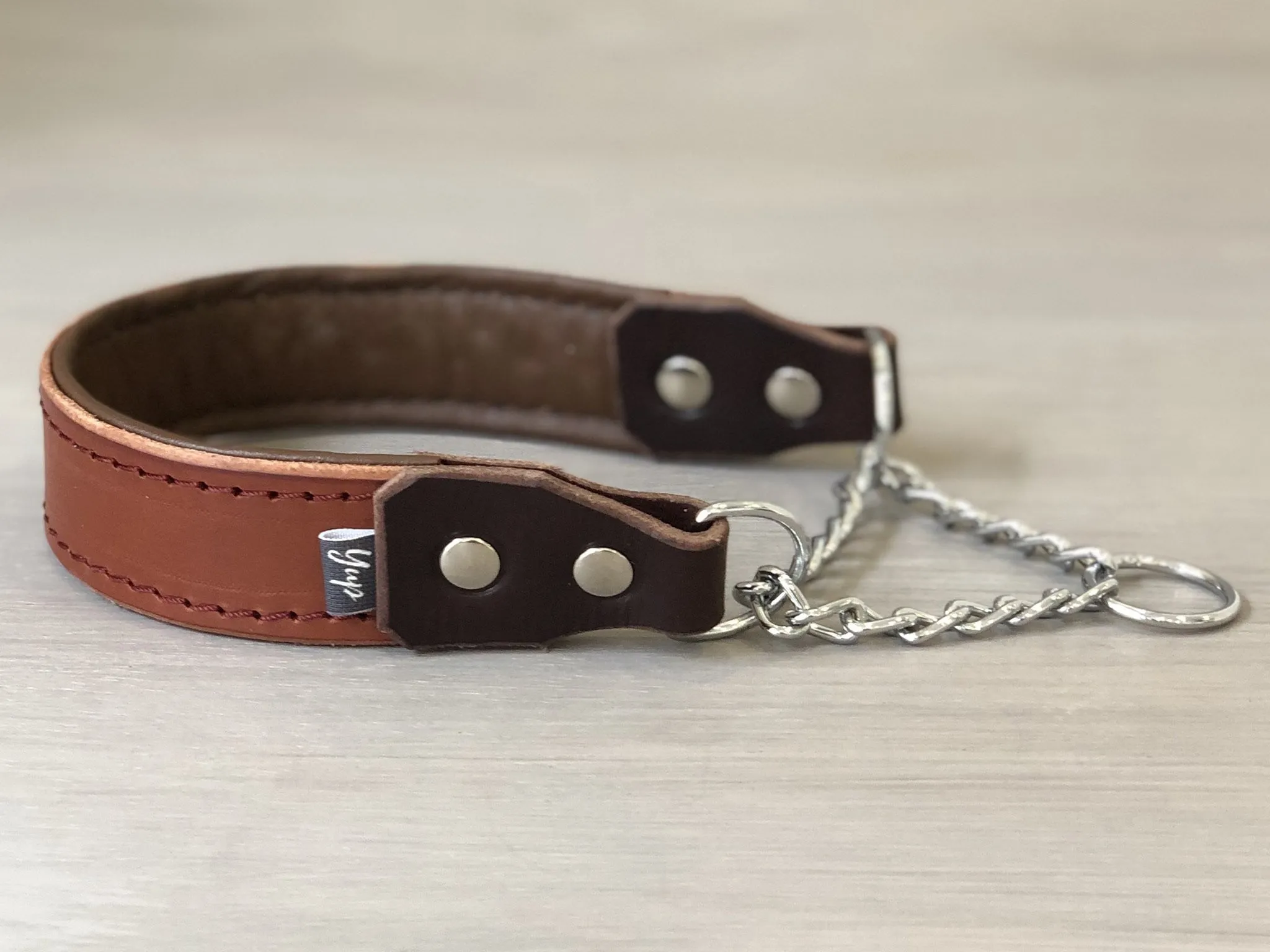 Padded Leather Martingale Dog Collar 5 Colors and Stainless Steel Chain