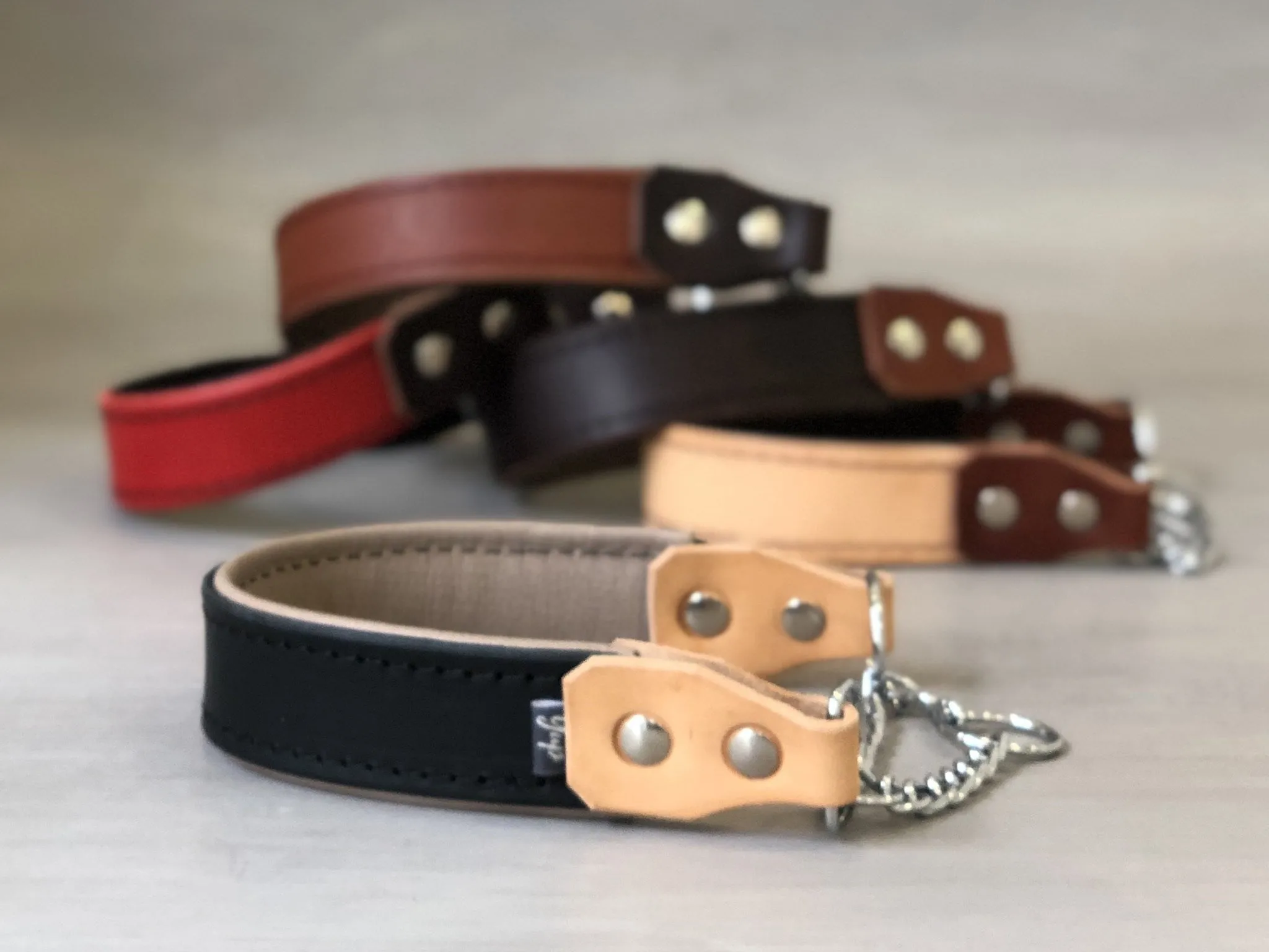 Padded Leather Martingale Dog Collar 5 Colors and Stainless Steel Chain