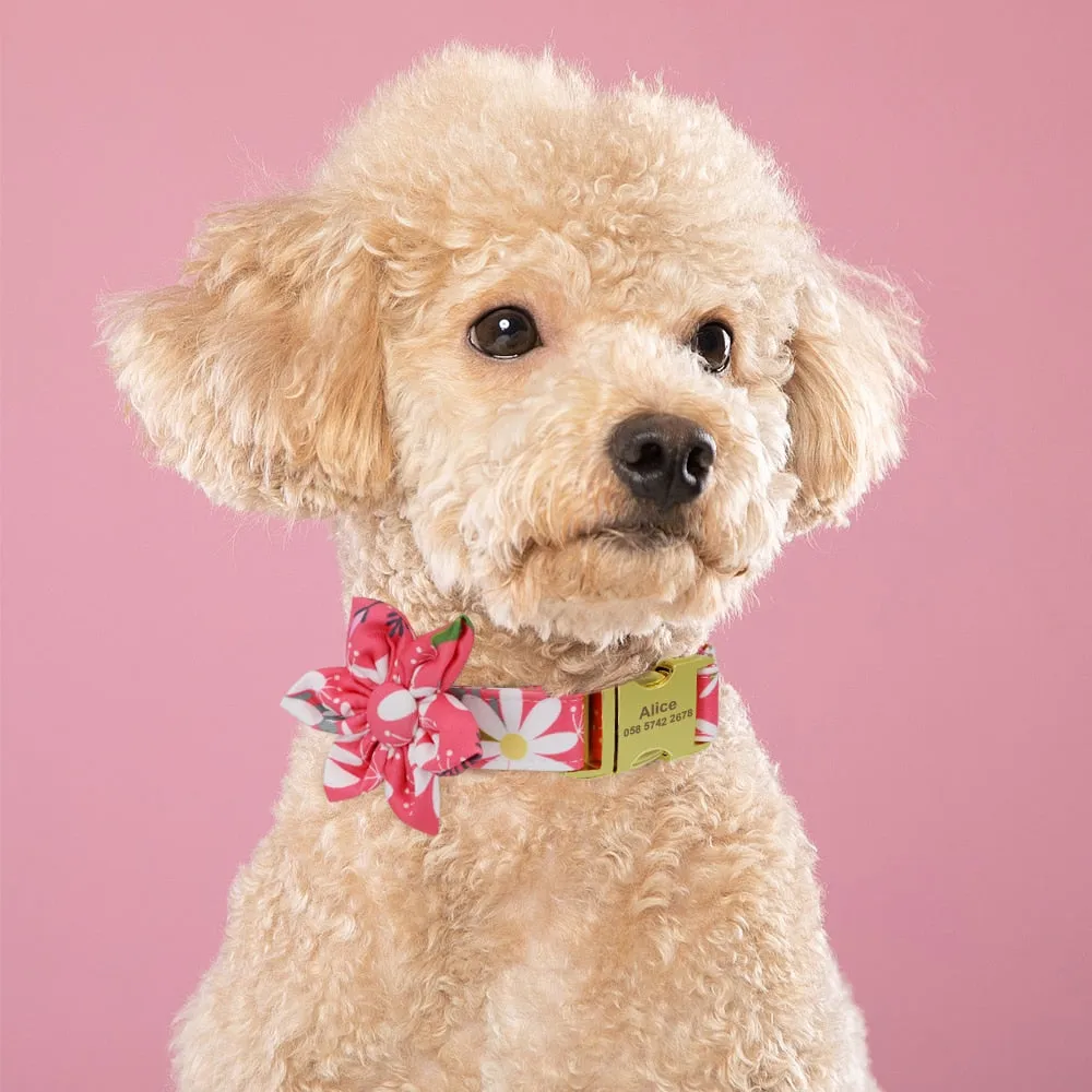 Personalized Fashion Dog Collar