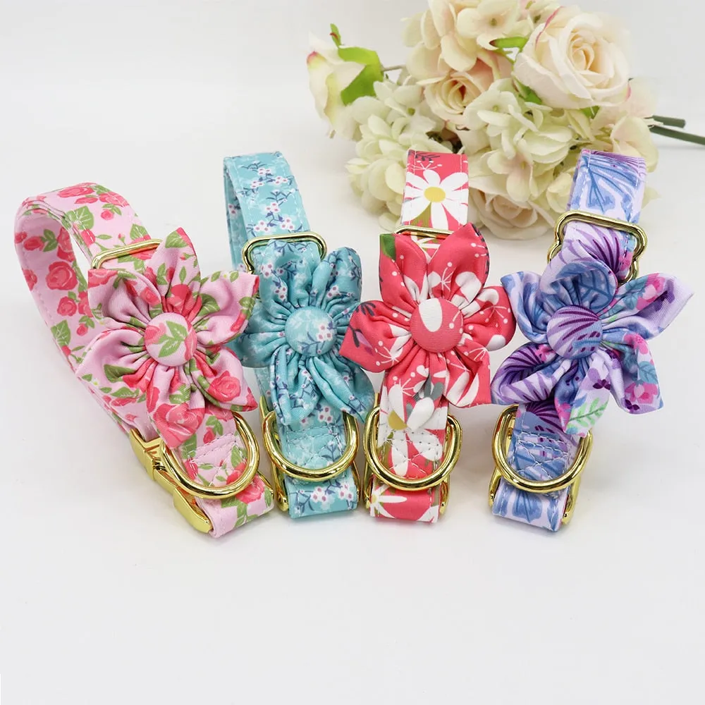 Personalized Fashion Dog Collar