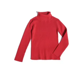 Slim Fit Ribbed Turtleneck
