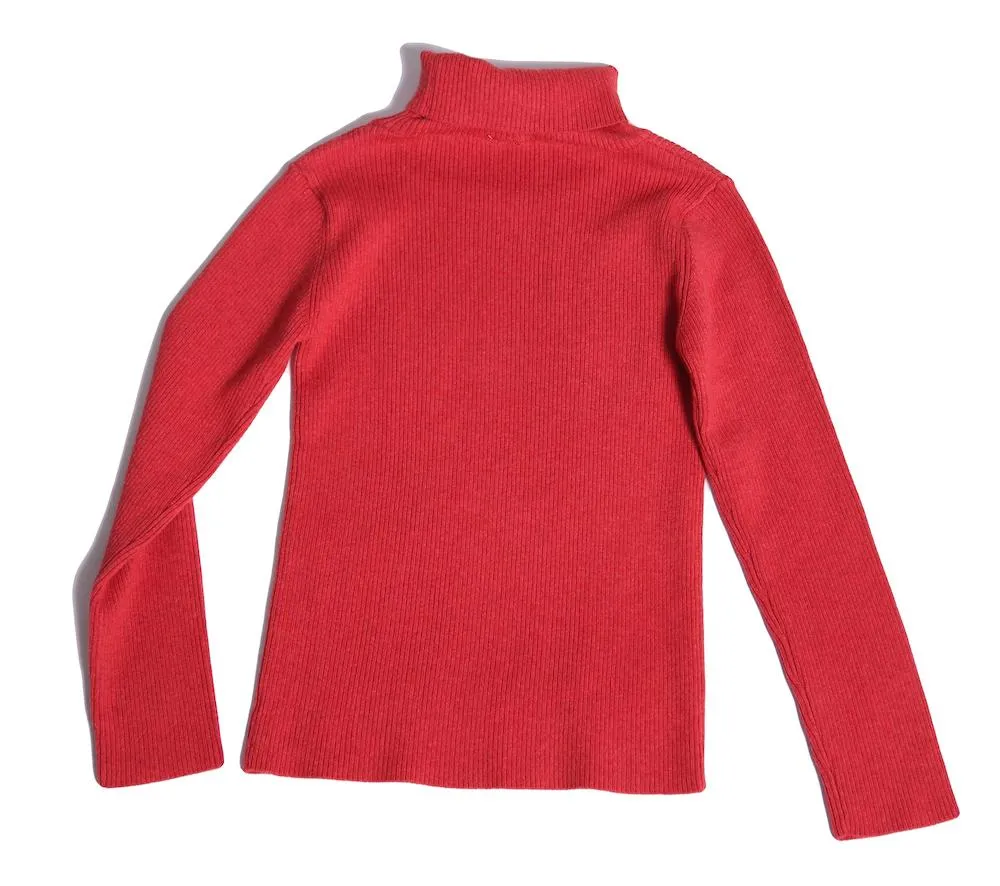 Slim Fit Ribbed Turtleneck