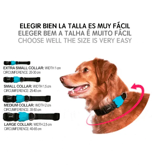 Zee.Dog Ella Collar